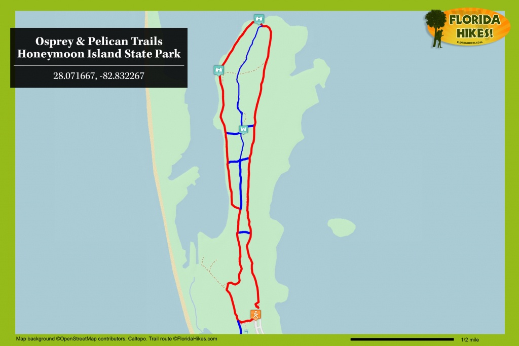 Osprey Trail | Florida Hikes! - Honeymoon Island Florida Map