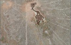 Peer - Blm Grazing Data Interactive Map - Blm Land Florida Map