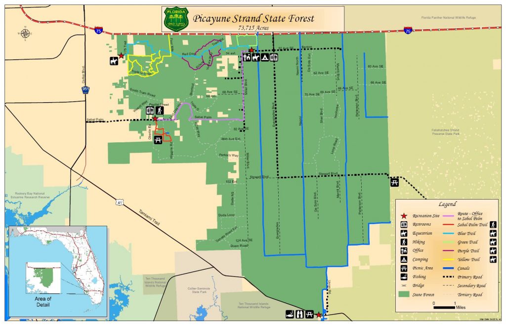 Picayune Strand State Forest / State Forests / Our Forests / Florida ...