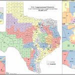 Political Participation: How Do We Choose Our Representatives   Texas Representatives District Map