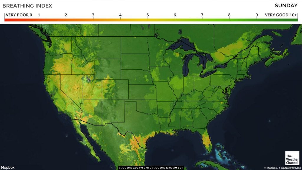 Pollen Count And Allergy Info For Washington, Dc - Pollen Forecast ...