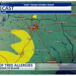 Pollen Making A Comeback In East Texas   Pollen Map Texas