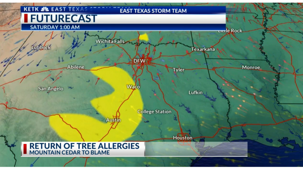 Pollen Making A Comeback In East Texas - Pollen Map Texas
