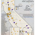 Public Waterfowl Hunting Areas On Du Public Lands Projects   Blm Hunting Maps California