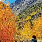 Quick Fall Facts When And How To Get Here   California Fall Color Map