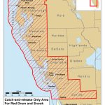 Red Tide Beach Cleanup   Current Red Tide Map Florida