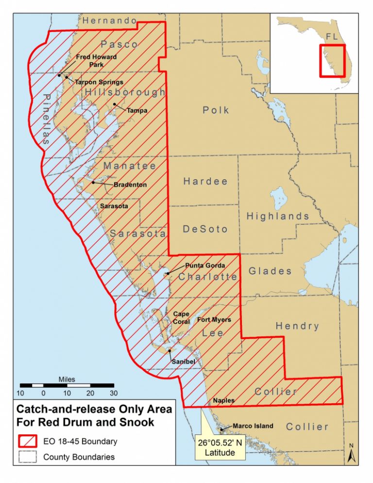 red tide florida beach map