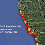 Red Tide Update: Respiratory Irritation Reported In Pinellas   Map Of Sw Florida Beaches