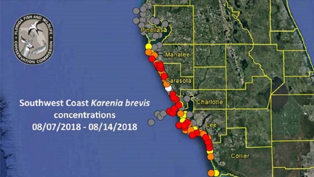 Red Tide Update: Respiratory Irritation Reported In Pinellas - Map Of Sw Florida Beaches