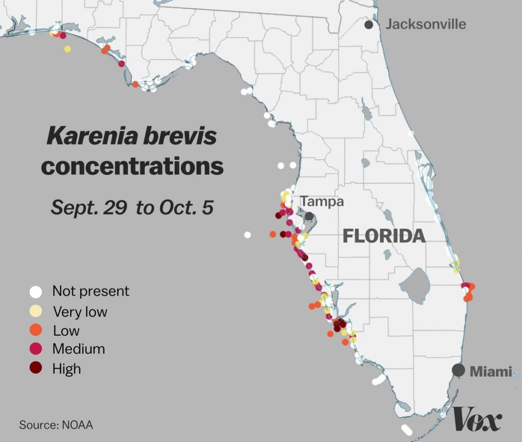 Red Tide Why Florida 39 s Toxic Algae - Red Tide Why Floridas Toxic Algae Bloom Is Killing Fish Manatees Florida Beach Bacteria Map 2018 1024x868