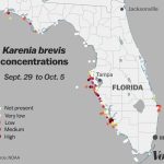 Red Tide: Why Florida's Toxic Algae Bloom Is Killing Fish, Manatees   Florida Beach Bacteria Map 2018