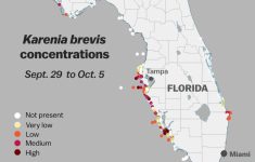 Red Tide: Why Florida's Toxic Algae Bloom Is Killing Fish, Manatees - Florida Snake Problem Map