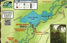 sarasota fl myakka river state park review my quantum discovery florida state parks camping map Sarasota, Fl – Myakka River State Park Review – My Quantum Discovery - Florida State Parks Camping Map