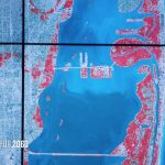 Sea Level Rise And Coastal Cities | National Geographic Society   Florida Sea Level Rise Map