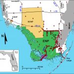 Severe Mammal Declines Coincide With Proliferation Of Invasive   Florida Snake Problem Map