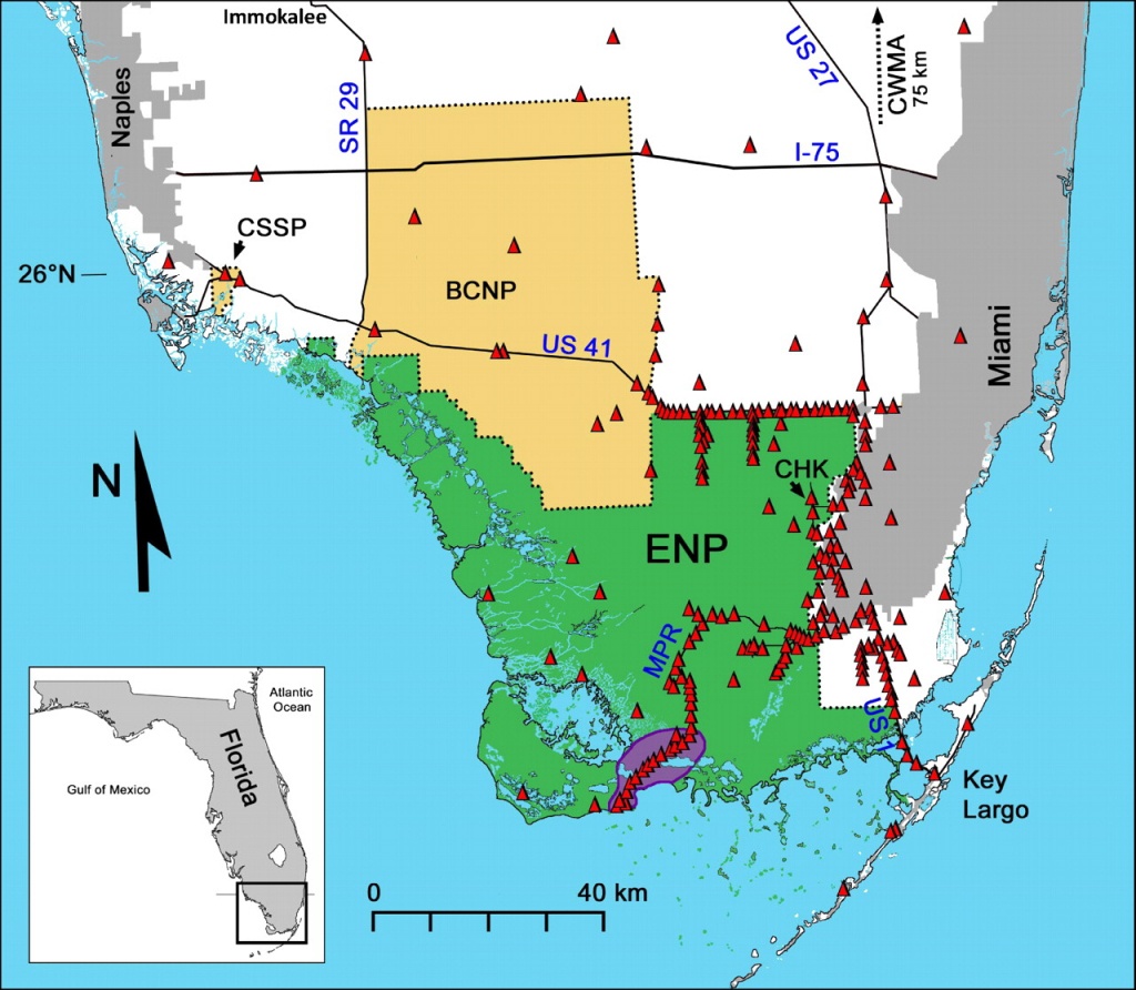 Severe Mammal Declines Coincide With Proliferation Of Invasive - Florida Snake Problem Map