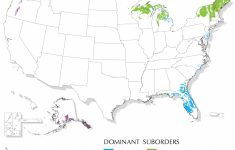 Spodosols Map | Nrcs Soils - Florida Soil Types Map