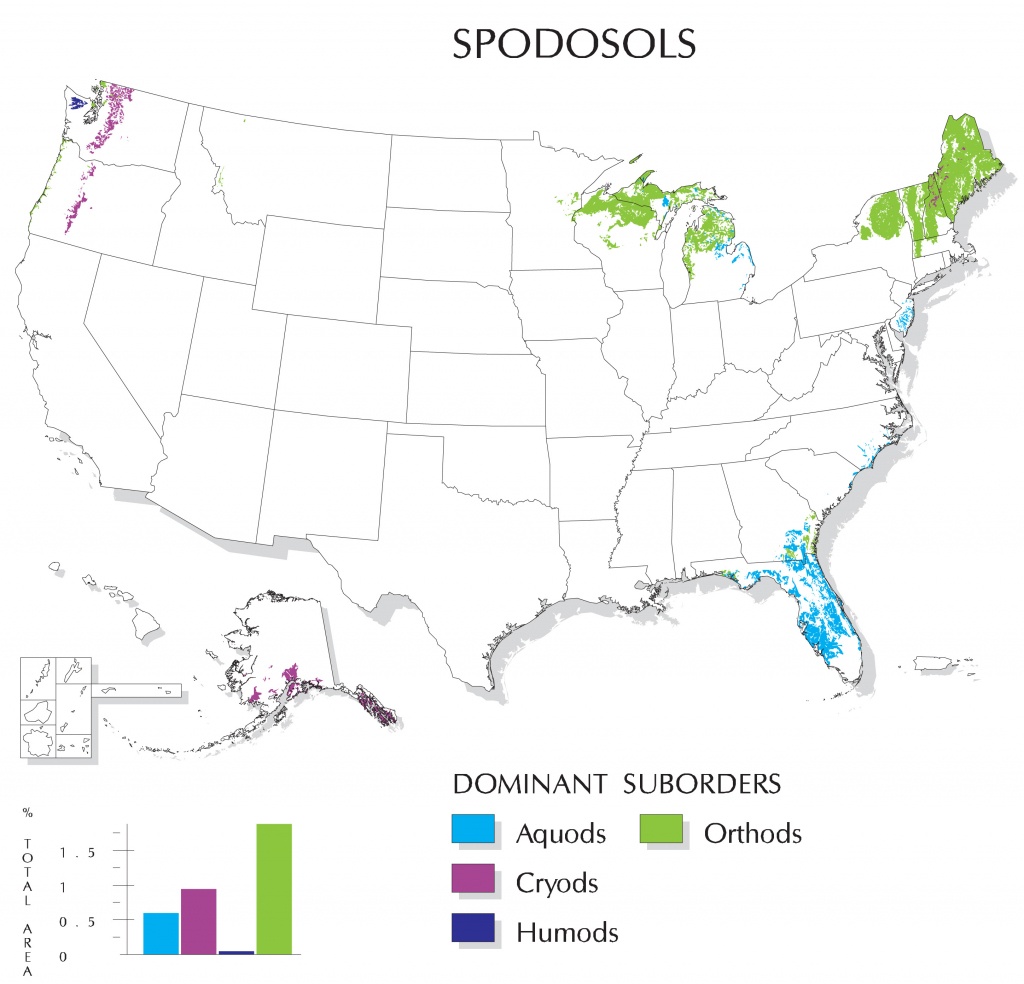 Spodosols Map | Nrcs Soils - Florida Soil Types Map