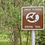 Tallahassee Daily Photo: Great Florida Birding Trail   Great Florida Birding Trail Map
