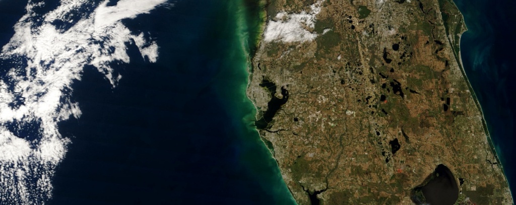 Tampa Bay Chapter – Florida Surveying And Mapping Society - Florida Surveying And Mapping Society