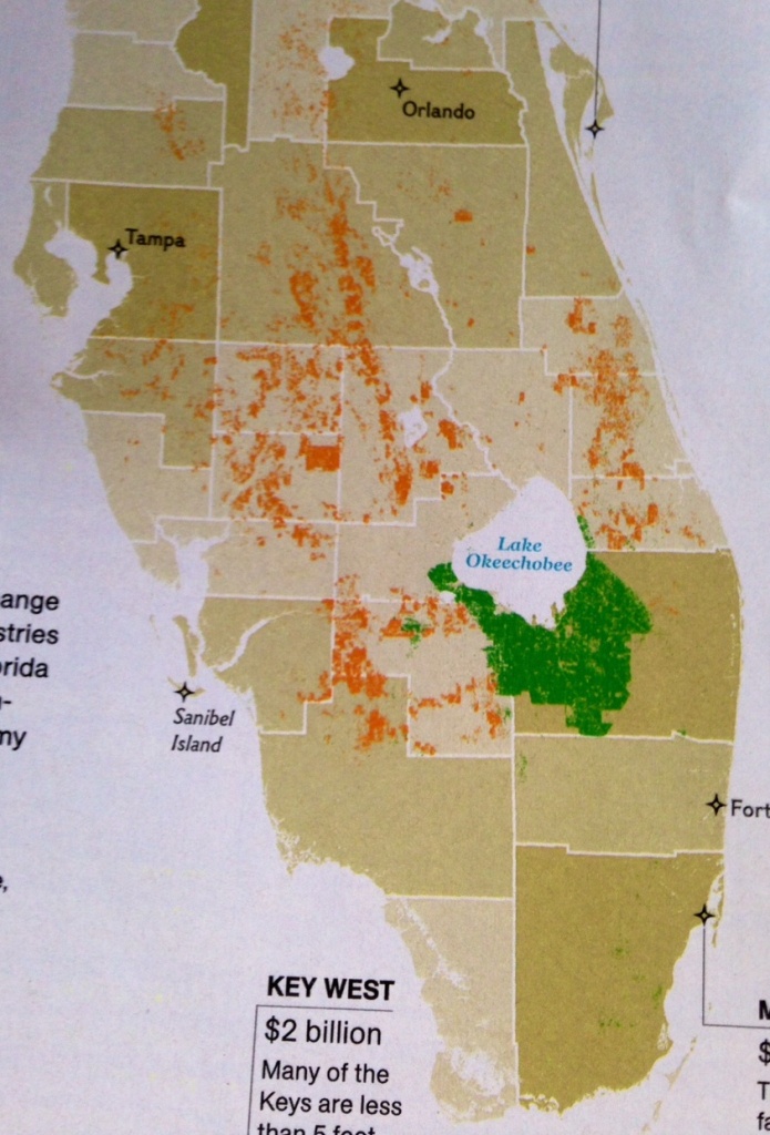 The Future Of Oranges, Sugarcane, And Drainage Gates, National - Where Are Oranges Grown In Florida Map