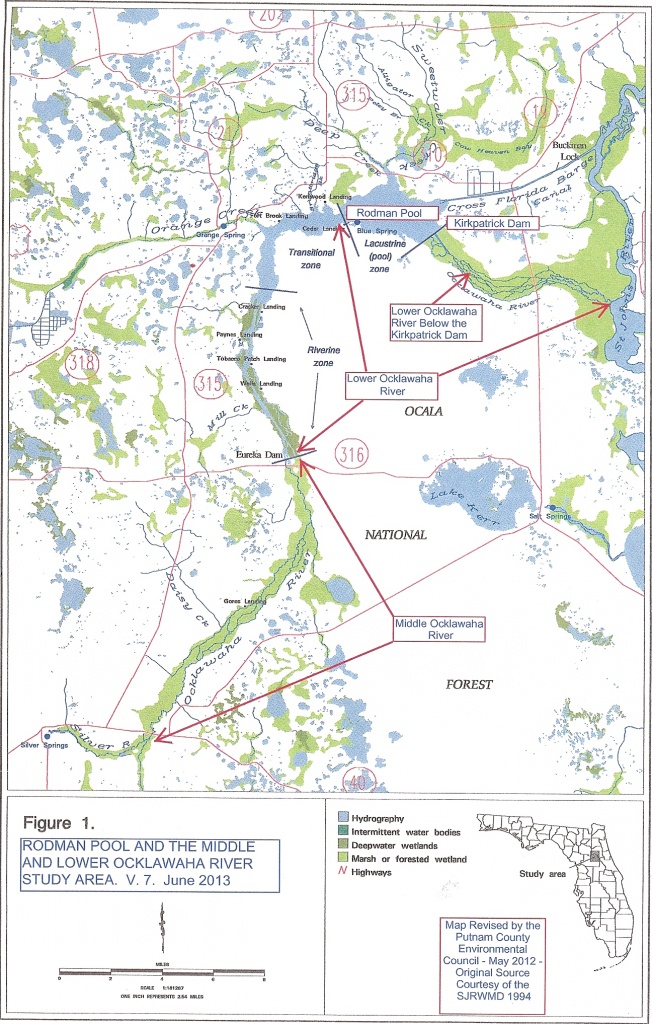 The Ocklawaha Ecosystem – Florida Defenders Of The Environment - Ocklawaha Florida Map