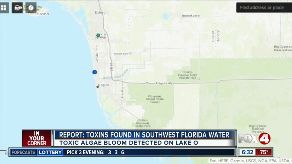 Toxic Algae Found In Lake Okeechobee And Collier County - Florida Blue Green Algae Map