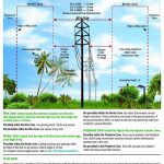 Transmission Right Of Way Use Guidelines   Duke Energy Transmission Lines Map Florida