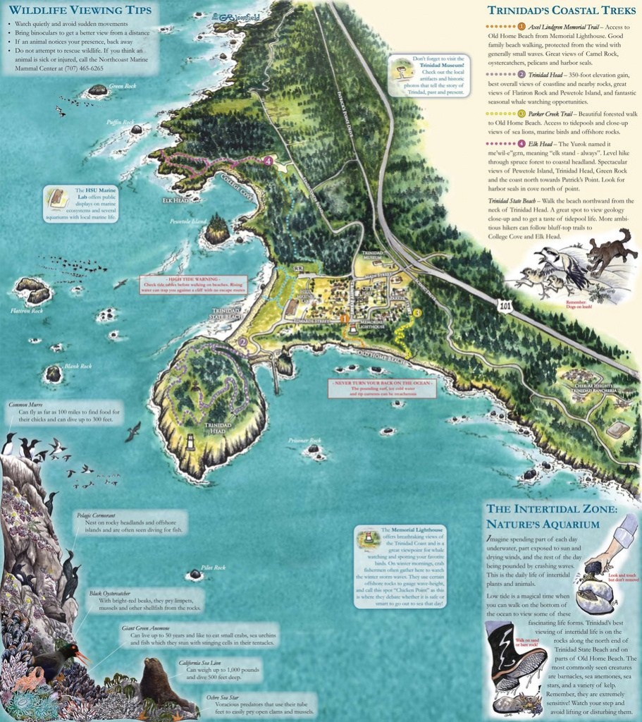 Trinidad Ca Trails Map - Maplets - Trinidad California Map