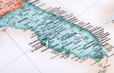 Ultimate Guide To Florida Alligators | Facts About Gators In Florida - Alligators In Florida Map