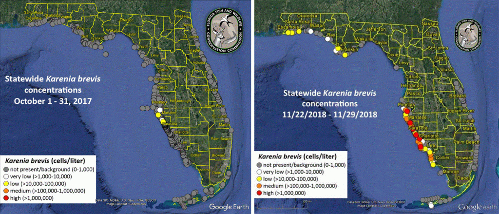 Understanding Florida&amp;#039;s Red Tide - Florida Sea Grant - Toxic Algae In Florida Map