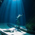 Unique Florida Springs Photography, Interactive Map, Weather & The   Florida Springs Diving Map