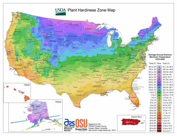 Texas Hardiness Zone Map