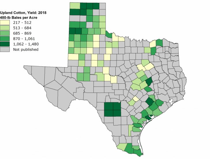 Usda - National Agricultural Statistics Service - Texas - County ...