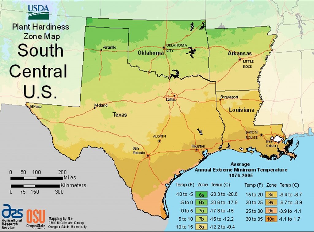 Usda Plant Hardiness Zone Mapsregion Texas Planting Zones Map Printable Maps 6022