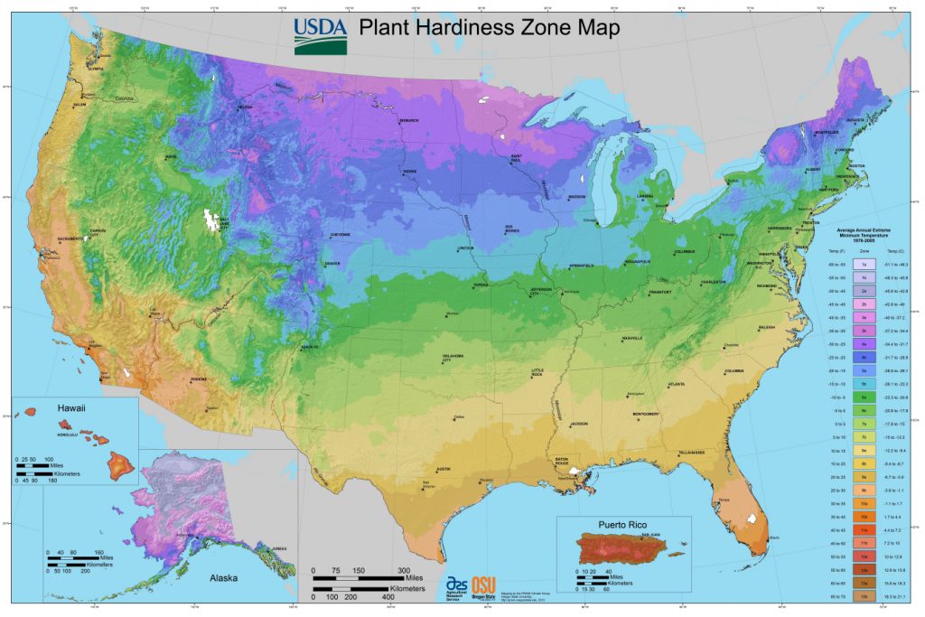 Usda Planting Zones For The U.s. And Canada | The Old Farmer's Almanac