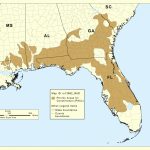 Usda Releases Two Year Strategy To Help Gopher Tortoise | Nrcs   Usda Map Florida