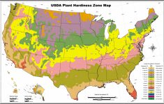 Usda Zone Map For Los Angeles Gardeners - Lawnstarter - Growing Zone Map California