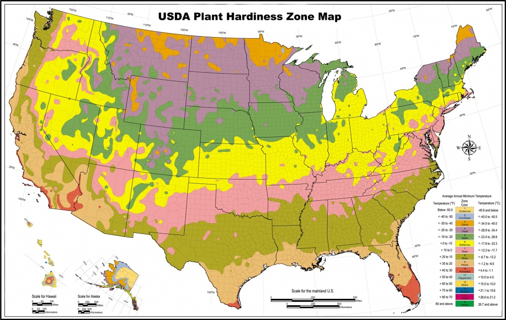 Usda Zone Map For Los Angeles Gardeners - Lawnstarter - Usda Map California