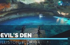 Video] Diving The Devil's Den, Florida - World Adventure Divers - Devil&amp;#039;s Den Florida Map