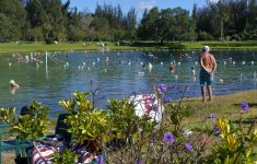 Warm Mineral Springs In North Port, An Adventure In History And - Warm Mineral Springs Florida Map