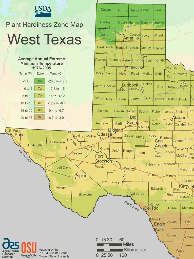 West Texas Plant Hardiness Zone Map • Mapsof - Texas Garden Zone Map