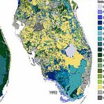 Wetlands In Florida – Fiorella Ruiz – Medium   Florida Wetlands Map