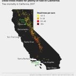 Why California's Wildfires Are So Destructive, In 5 Charts   California Forest Fire Map